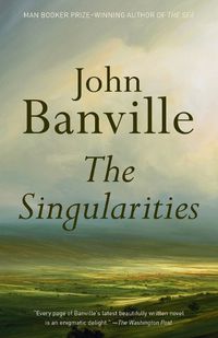 Cover image for The Singularities