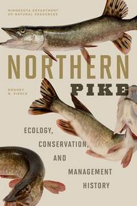 Cover image for Northern Pike: Ecology, Conservation, and Management History