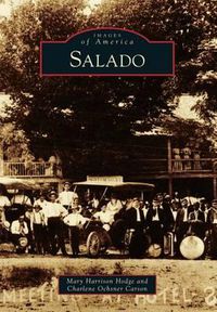 Cover image for Salado