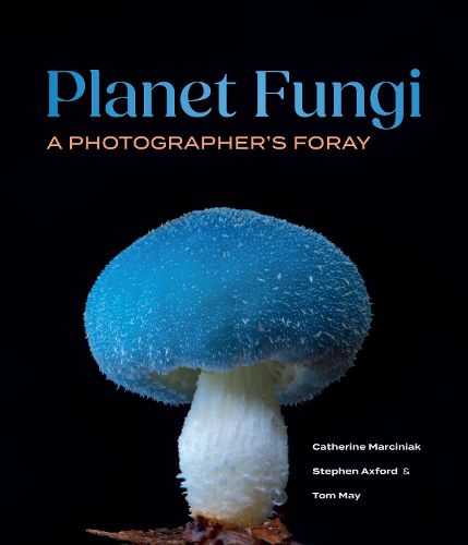 Cover image for Planet Fungi