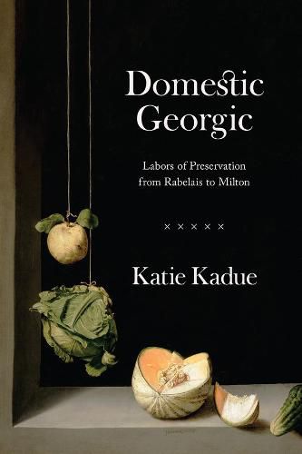 Cover image for Domestic Georgic: Labors of Preservation from Rabelais to Milton