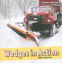 Cover image for Wedges in Action