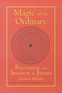 Cover image for Magic of the Ordinary: Recovering the Shamanic in Judaism
