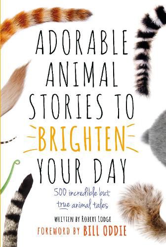 Adorable Animal Stories to Brighten Your Day