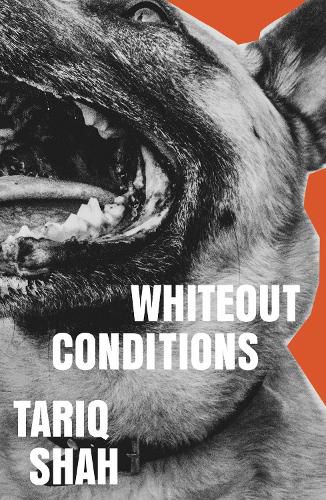 Cover image for Whiteout Conditions