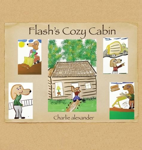 Cover image for Flash's Cozy Cabin