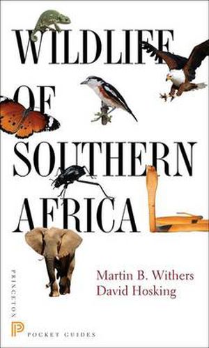 Cover image for Wildlife of Southern Africa