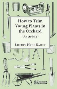 Cover image for How to Trim Young Plants in the Orchard - An Article