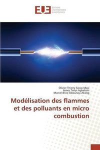 Cover image for Modelisation Des Flammes Et Des Polluants En Micro Combustion