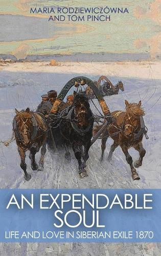 Cover image for An Expendable Soul