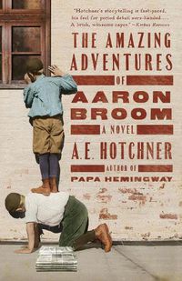 Cover image for The Amazing Adventures of Aaron Broom: A Novel