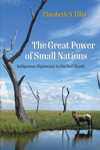 The Great Power of Small Nations: Indigenous Diplomacy in the Gulf South