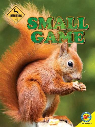 Cover image for Small Game