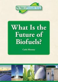 Cover image for What Is the Future of Biofuels?