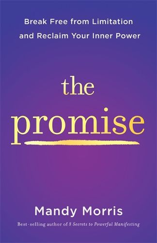 Cover image for The Promise