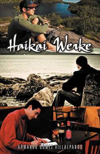 Cover image for Haikai Werke