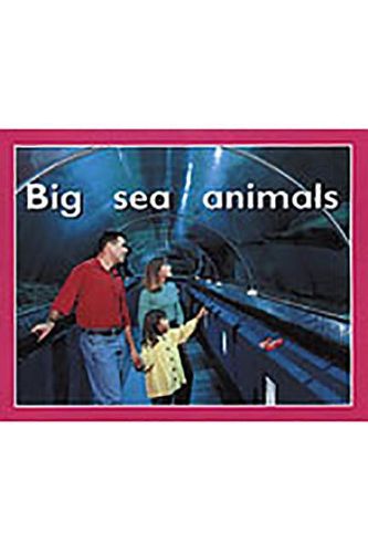 Cover image for Big Sea Animals: Individual Student Edition Magenta (Level 2)