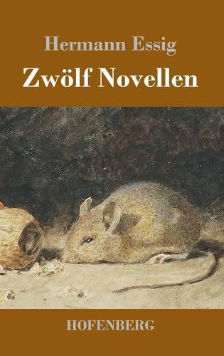 Cover image for Zwoelf Novellen