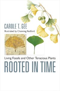 Cover image for Rooted in Time