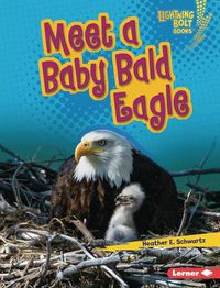 Cover image for Meet a Baby Bald Eagle