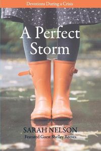 Cover image for A Perfect Storm: Devotions During a Crisis