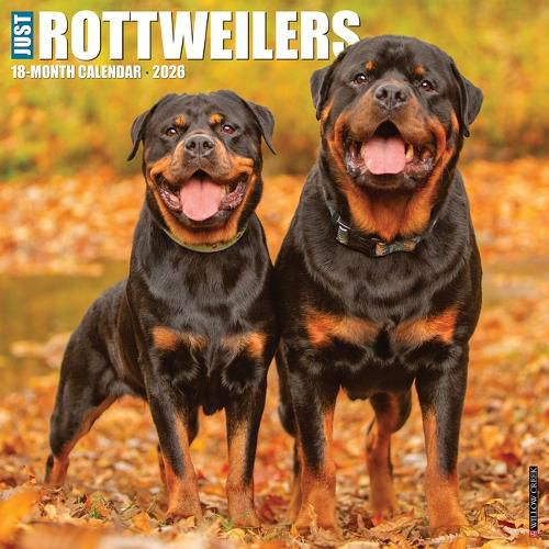 Cover image for Rottweilers 2026 Wall Calendar