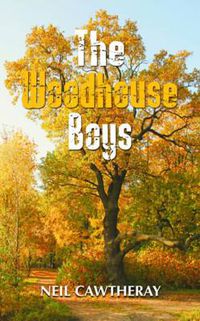 Cover image for The Woodhouse Boys