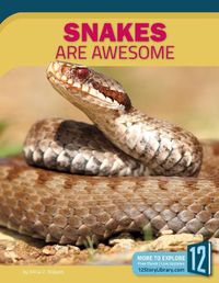 Cover image for Snakes Are Awesome