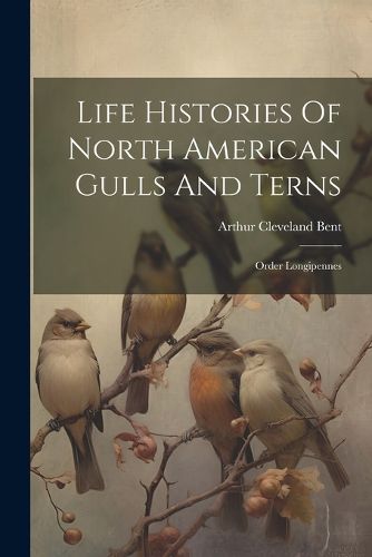 Cover image for Life Histories Of North American Gulls And Terns