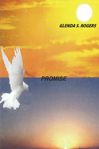 Cover image for Promise