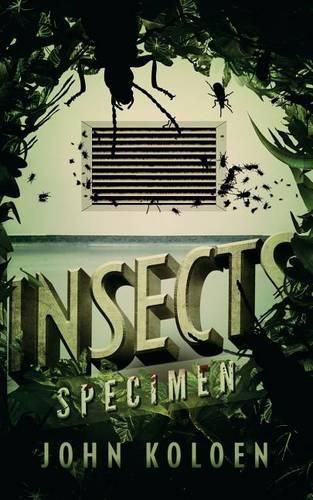 Insects: Specimen