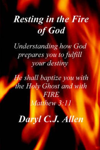 Cover image for Resting in the Fire of God