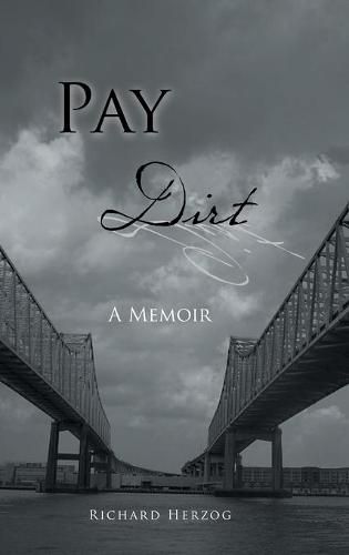 Cover image for Pay Dirt