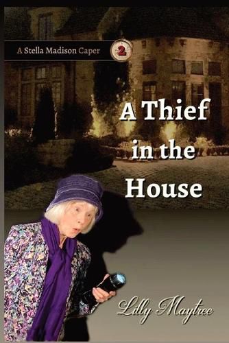 Cover image for A Thief In The House