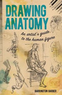 Cover image for Drawing Anatomy: An Artist's Guide to the Human Figure