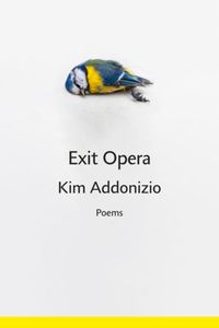 Cover image for Exit Opera