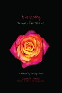 Cover image for Everlasting