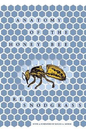 Cover image for Anatomy of the Honeybee