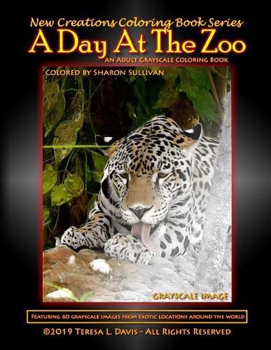Cover image for New Creations Coloring Book Series
