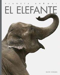 Cover image for El Elefante