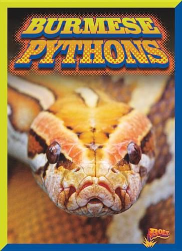 Cover image for Burmese Pythons