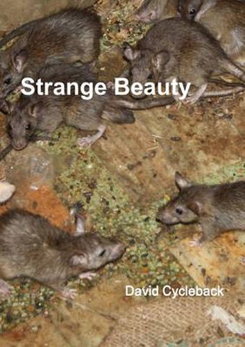 Cover image for Strange Beauty