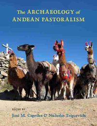 Cover image for The Archaeology of Andean Pastoralism