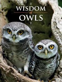 Cover image for Wisdom of Owls