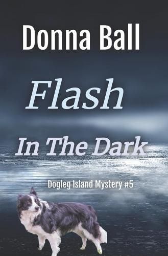 Cover image for Flash in the Dark