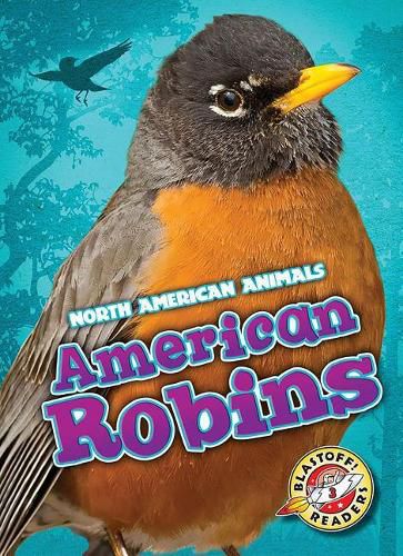 Cover image for American Robins