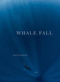 Cover image for Whale Fall: Poems