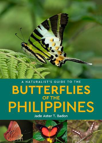 Cover image for A Naturalist's Guide to the Butterflies of the Philippines