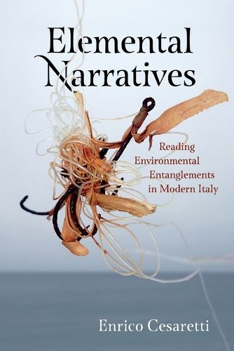 Cover image for Elemental Narratives
