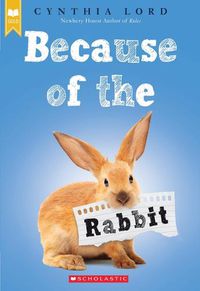 Cover image for Because of the Rabbit